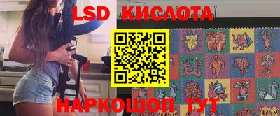 крисы Кингисепп