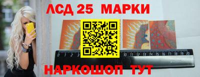 крисы Кингисепп