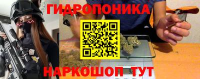 крисы Кингисепп