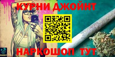 крисы Кингисепп