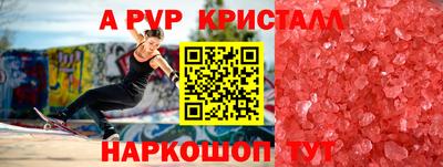 крисы Кингисепп